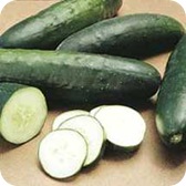 pepino