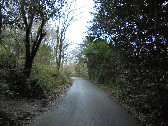 上に登ります