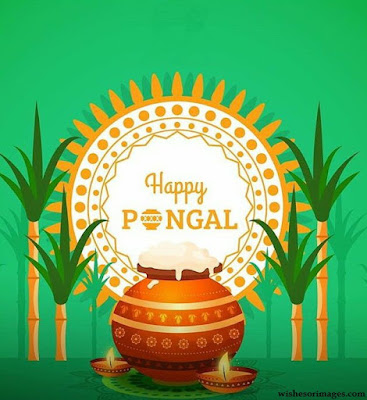 HD Pics of Pongal