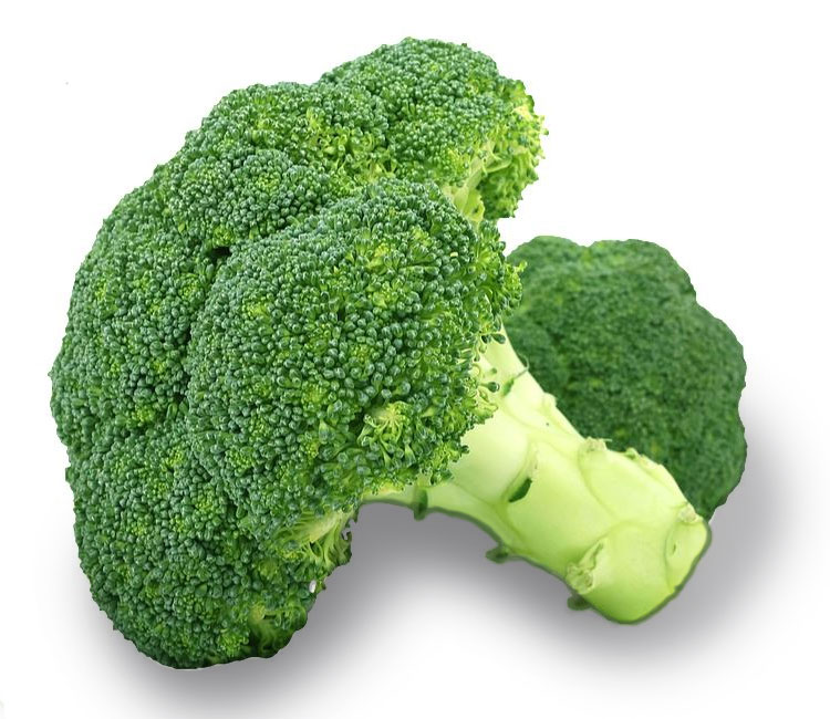 broccoli vegetable