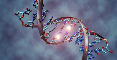 Kelemahan Uji Laboratorium DNA Forensik Ditemukan