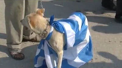 Αποτέλεσμα εικόνας για προσβολη σημαιασ  εθνικου συμβόλου