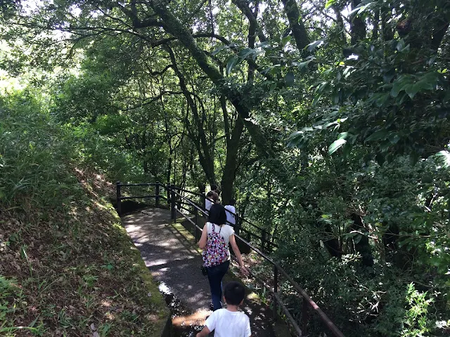 高千穂峡へ【宮崎県高千穂】