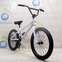 20 senator xtreme bmx rem torpedo