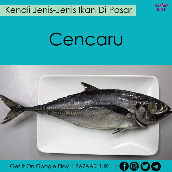 Jenis-Jenis Ikan Di Pasar | The_ramaramapendek