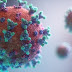 Coronavirus May Be a Blood Vessel Disease, Which Explains Everything 