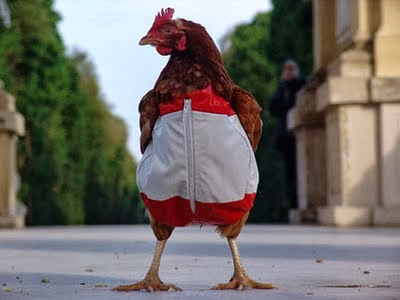 Εικόνα