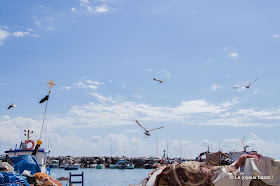 Procida - village de pêcheurs