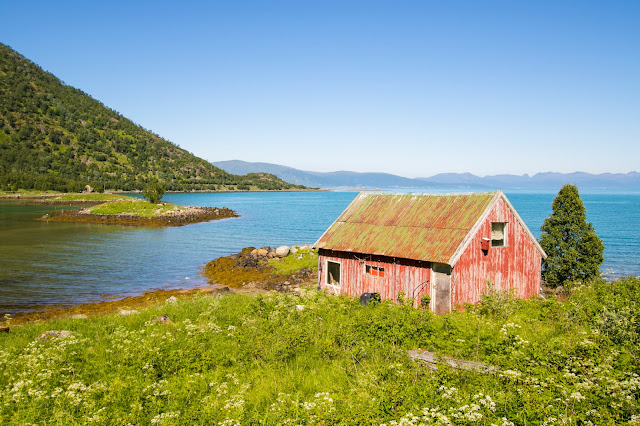 Strada tra Narvik e Svolvaer-Isole Lofoten