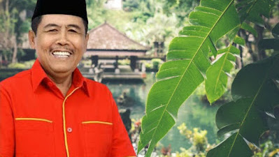 Memo Hermawan : Luasnya Wilayah Kabupaten Garut  Sudah  Pas Dipimpin Tiga Kepala Dearah