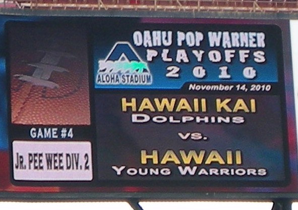 Hawaii Kai Dolphins JPW