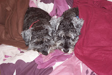 Snuggle up!