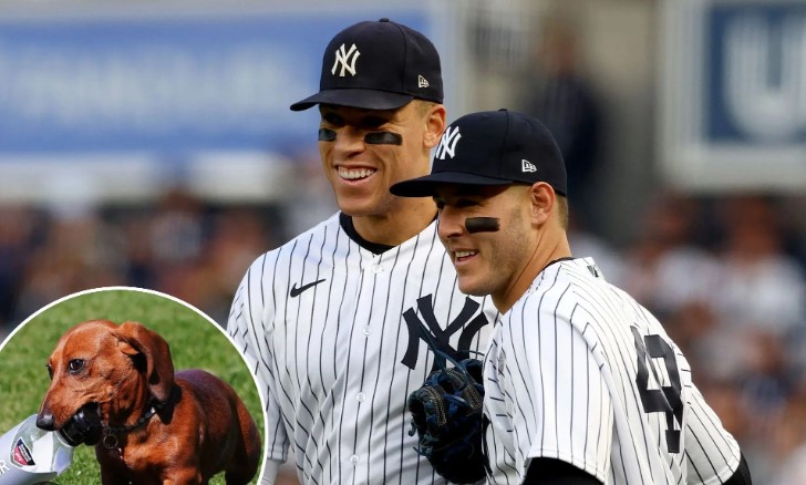 Bleeding Yankee Blue: A TALE OF AARON JUDGE, THE YANKEES & A DOG NAMED KEVIN