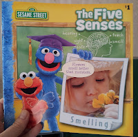 5 Senses Sesame Street Book