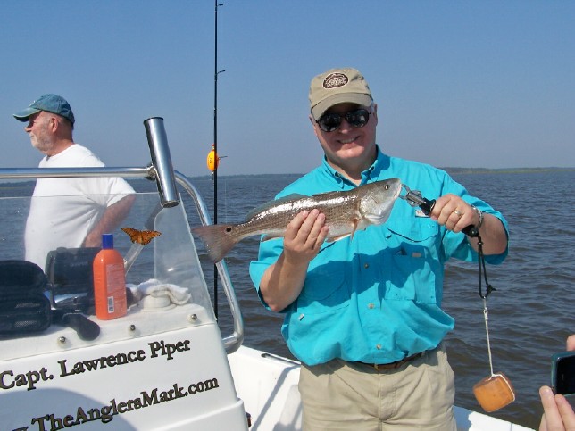 Amelia Island Redfish