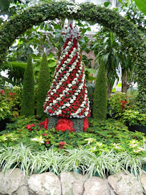 Allan Gardens Conservatory 2017 Christmas Flower Show Christmas tree topiary by garden muses-not another Toronto gardening blog