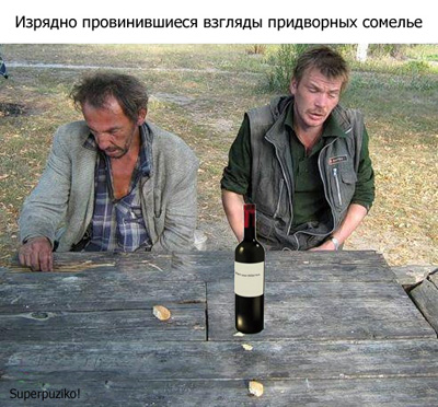 Изрядно провинившиеся взгляды придворных сомелье
