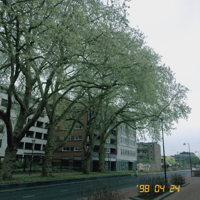 Arnhem, foto Robert van der Kroft