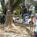 View album