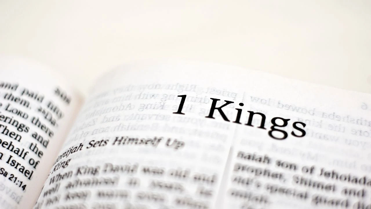Catholic Introduction To The Old Testament: First Book of Kings