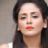 Parul Yadav Photos at South Scope Calendar 2014 Launch Photos 2528117%2529