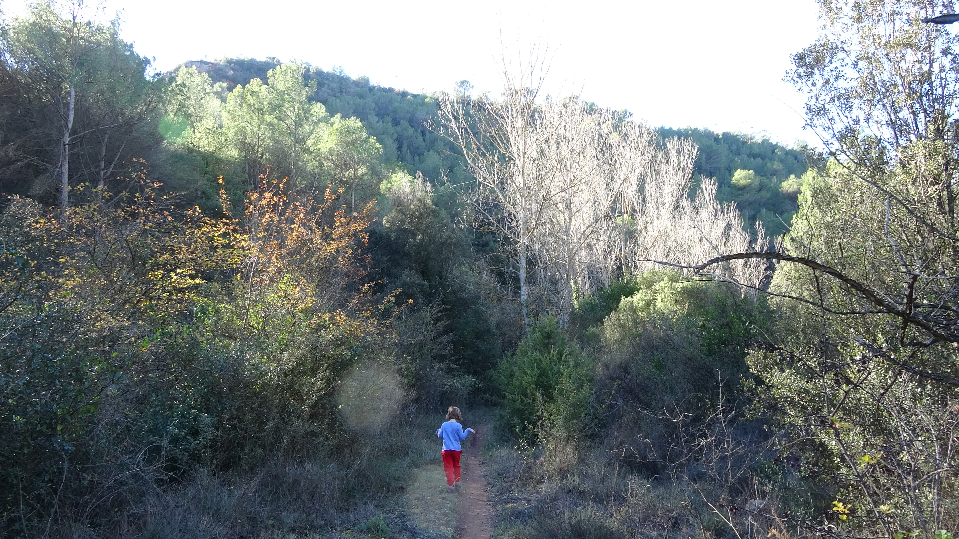 Sendero por la riera de Gallifa