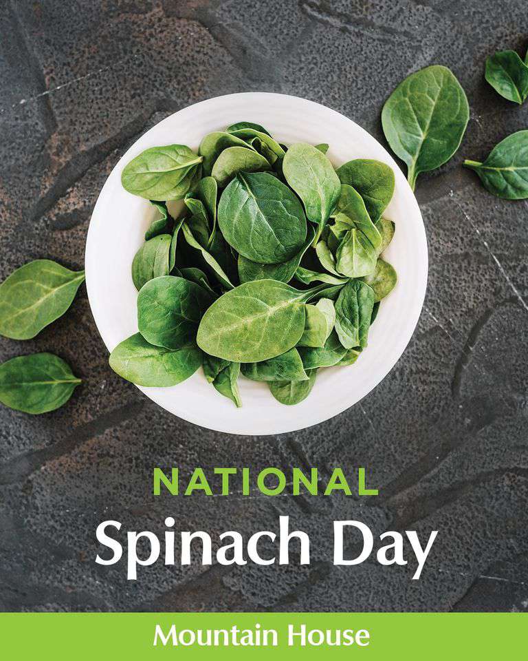 National Spinach Day Wishes Awesome Picture
