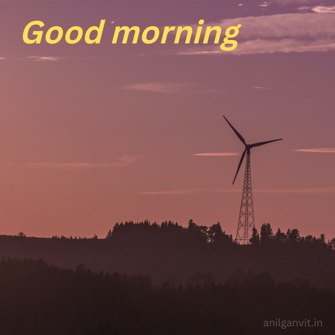 nature morning images