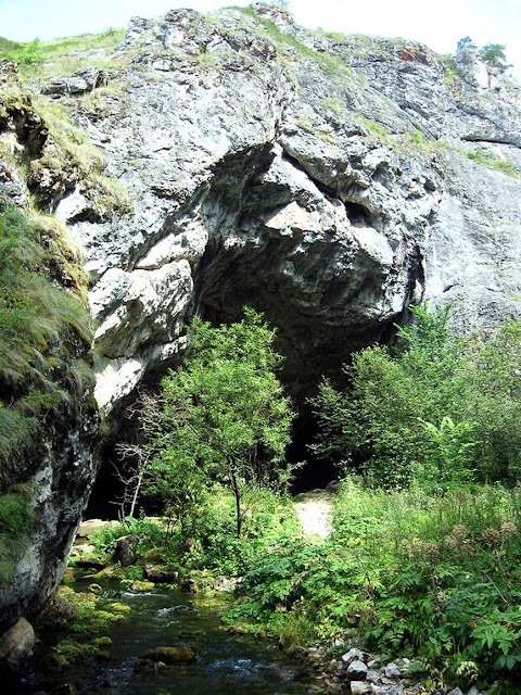 Upper Palaeolithic cave painting of camel discovered in Ural Mountains