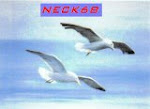 Neck68