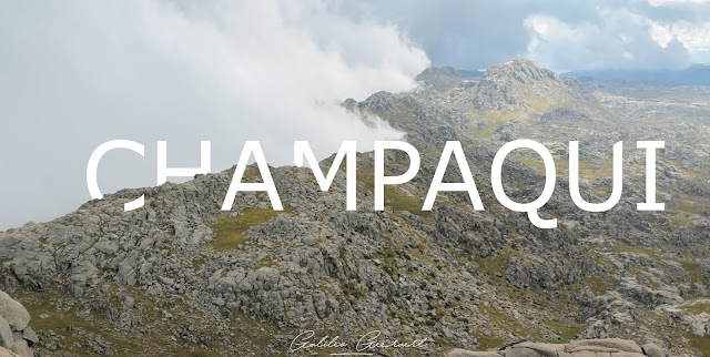  Avistaje de aves en el Cerro Champaquí