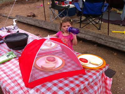 camping mesh food tent www.thebrighterwriter.blogspot.com