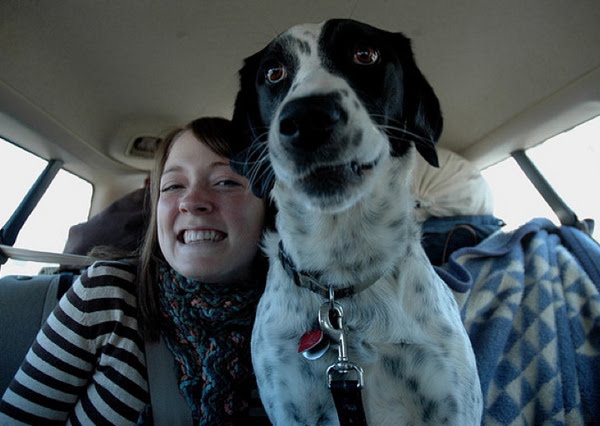 26 pictures of awkward dog smiles