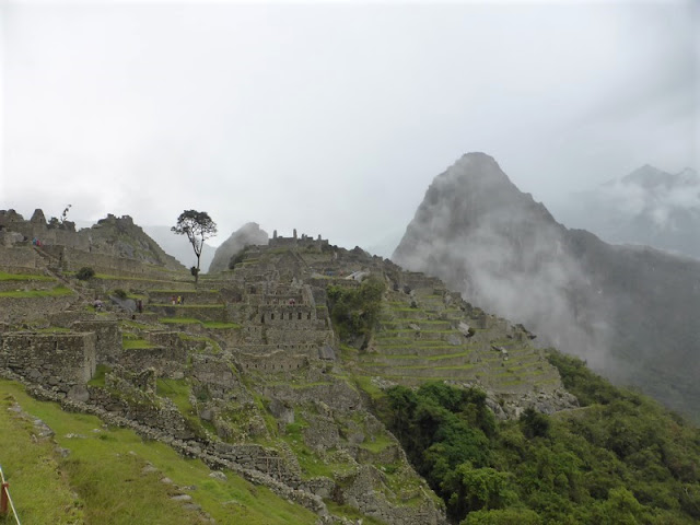 Machupicchu, terrazas de cultivo