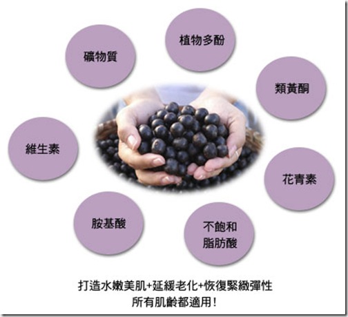 acai-berry-series-indegrients