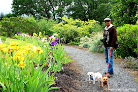 Dog Friendly Oregon Garden, Silverton, Oregon