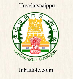 Tnvelaivaaippu