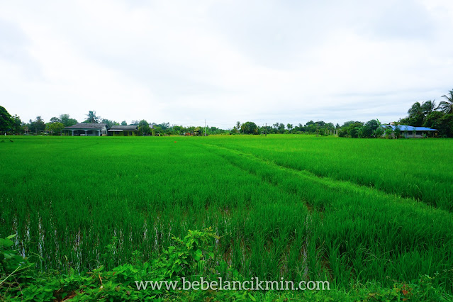 12 Tempat Menarik Di Perlis