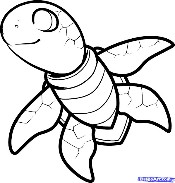How To Draw Turtle Colouring Pages For Coloring Pages Draw Turtle