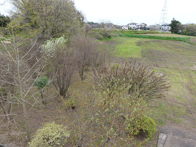 鳥取県道240号旧奈和西坪線からの眺め