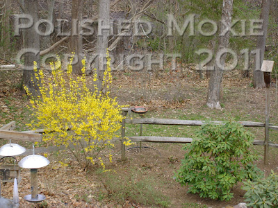 Picture of a squirrel lying in a bird feeder eating