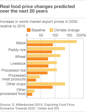 South Asia Investor Review  High Food Prices Boost Pakistans