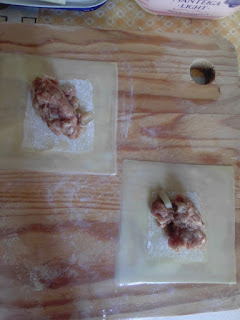 WONTON DE CARNE