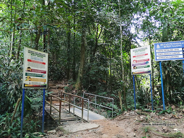 Bukit Gasing trail 1 to suspension bridge