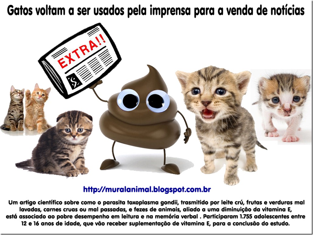 gatos-imprensa