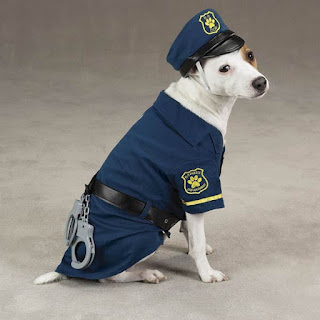 dog-in-police-uniform