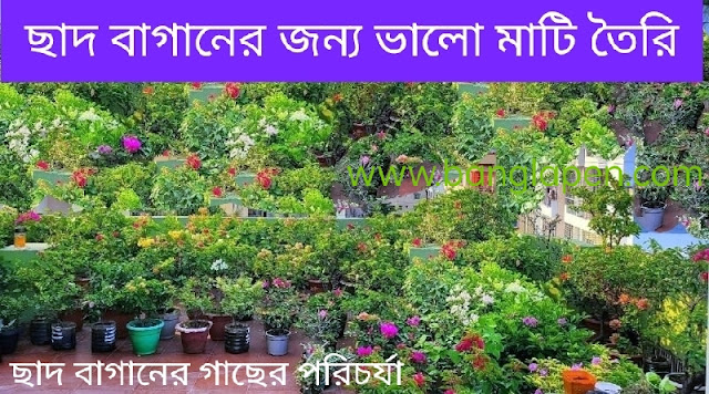 ছাদ বাগানের জন্য ভালো মাটি তৈরি