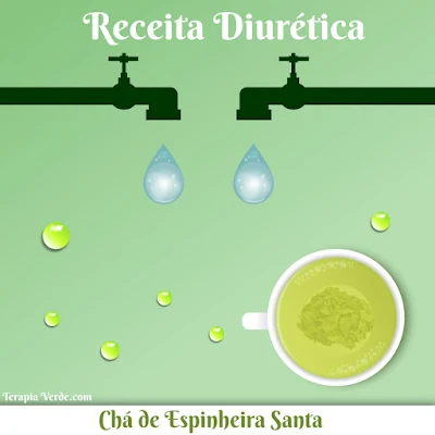 Receita Diurética: Chá de Espinheira Santa