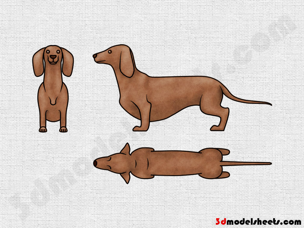 HIGH RESOLUTION TEXTURES Free Animal Blueprints Model  Sheets