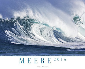 Meere 2016